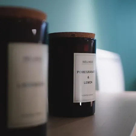 La Canopee - & Parking Apartman Riom