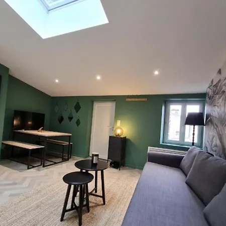 La Canopee - & Parking Apartman Riom