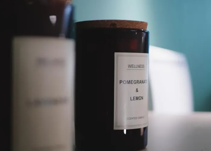 La Canopee - & Parking Apartamento Riom