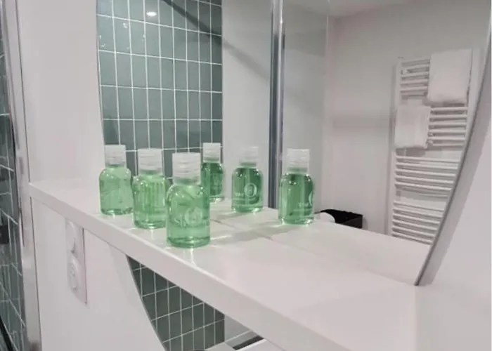 La Canopee - & Parking Apartamento Riom